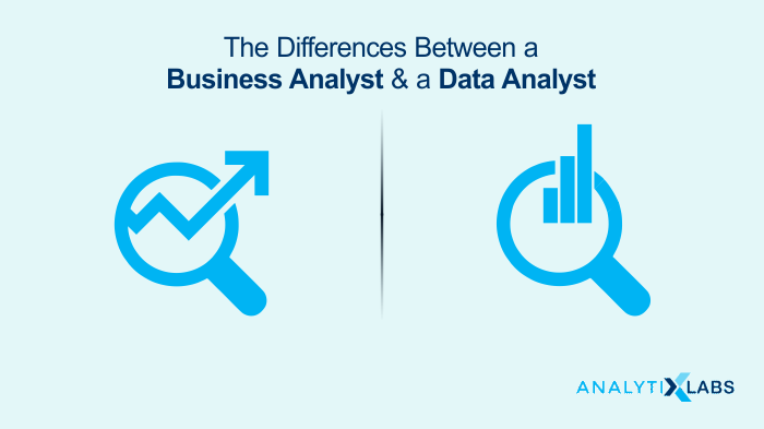 Business Analyst Data Analyst