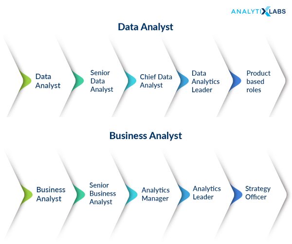 General career path for Data Analysts & Business Analysts