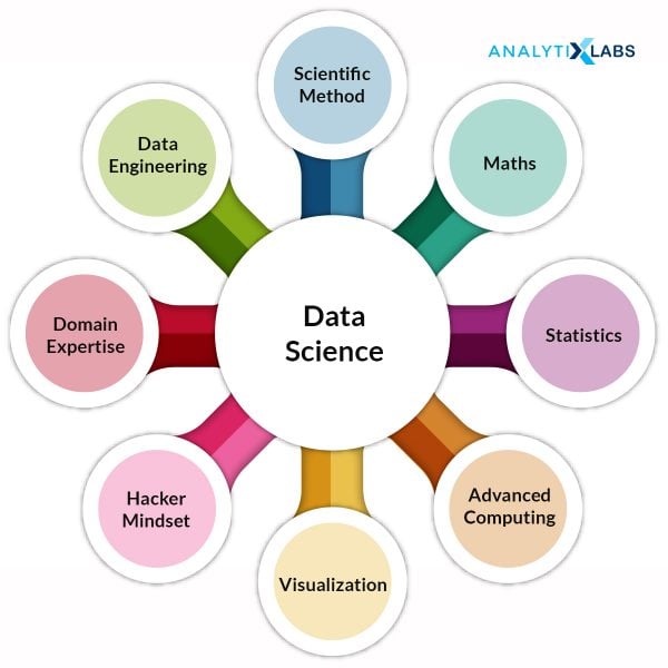 what is data science essay