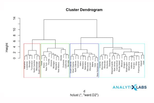Clustering Dendogram