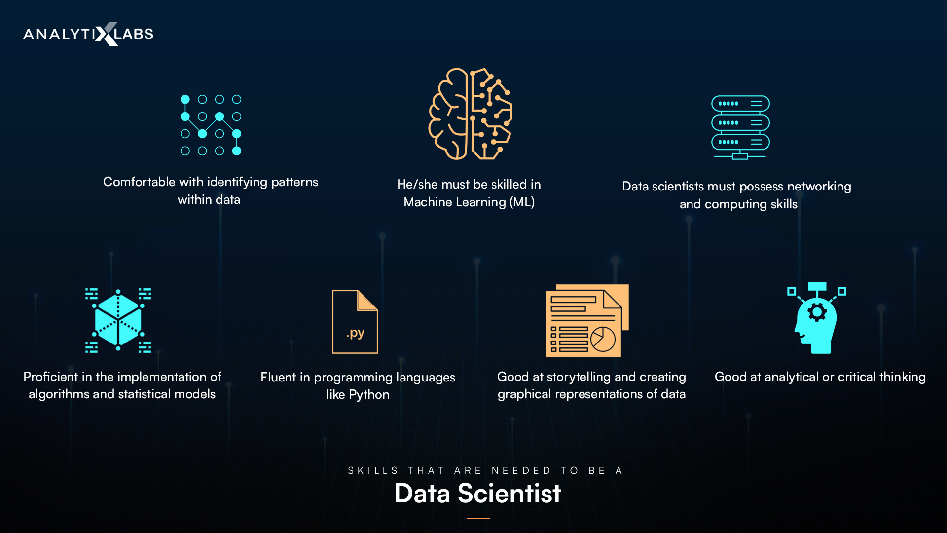 What Skills Are Needed to Be a Data Scientist