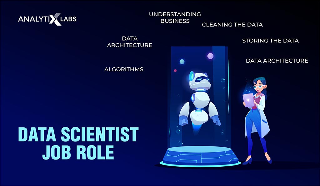 Data scientist job role
