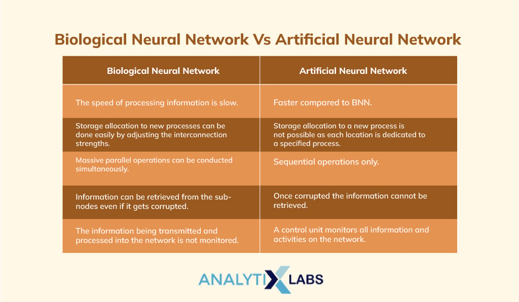 Biological-Neural-Network-Vs-Artificial-Neural-Network