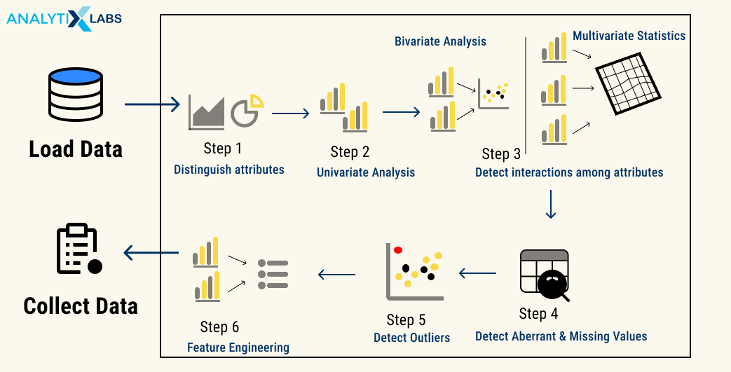 exploratory data analysis steps