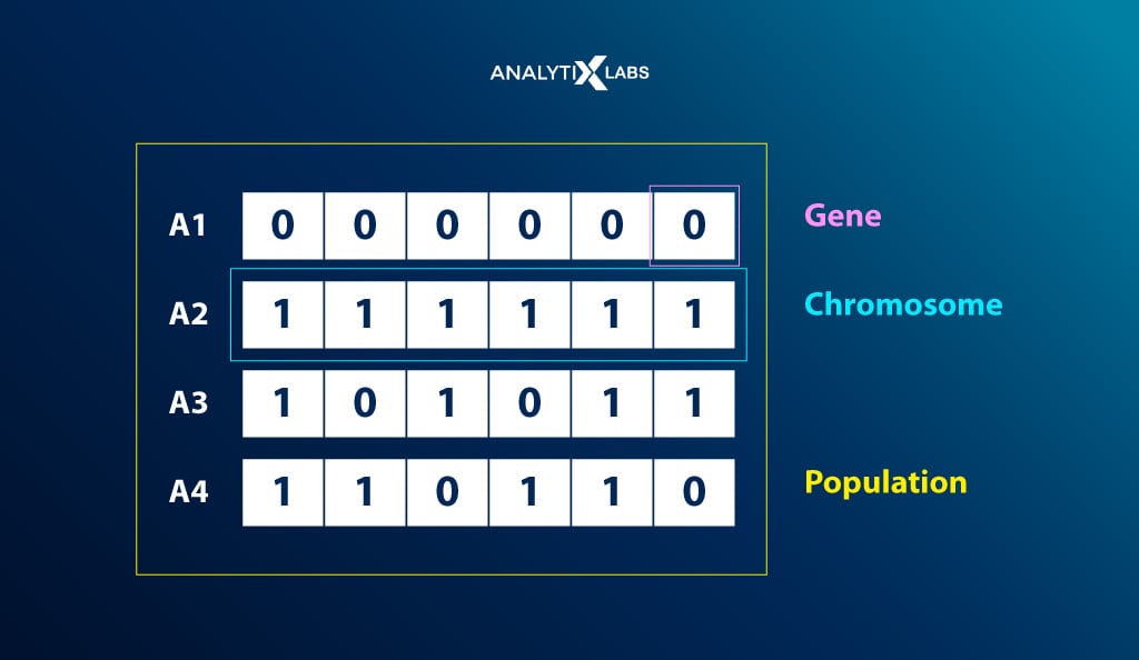 genetic algorithms key terminologies