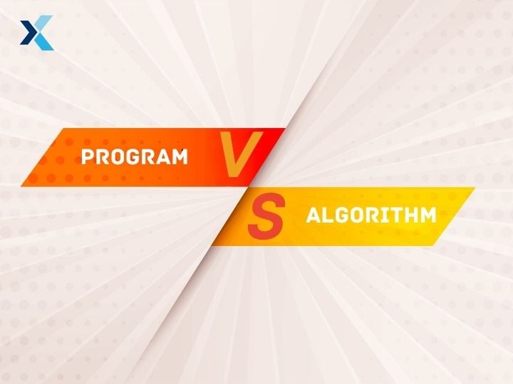 program vs algorithm